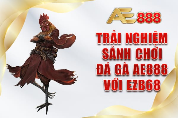 Trải nghiệm sảnh chơi đá gà AE888 với EZB68
